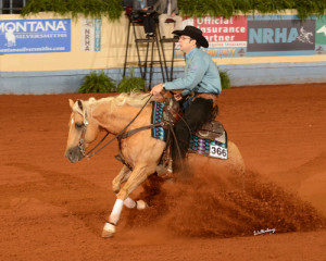 codes-electric-step-sm