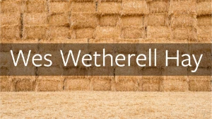 wes wetherell hay